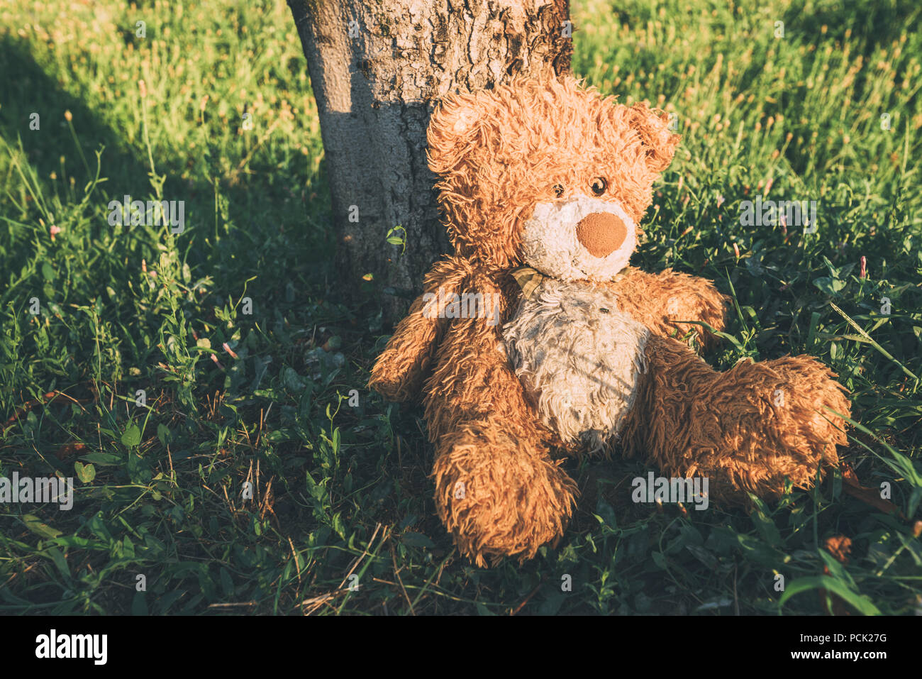 Miserable abandoned teddy bear outdoors leaning on to tree Stock Photo