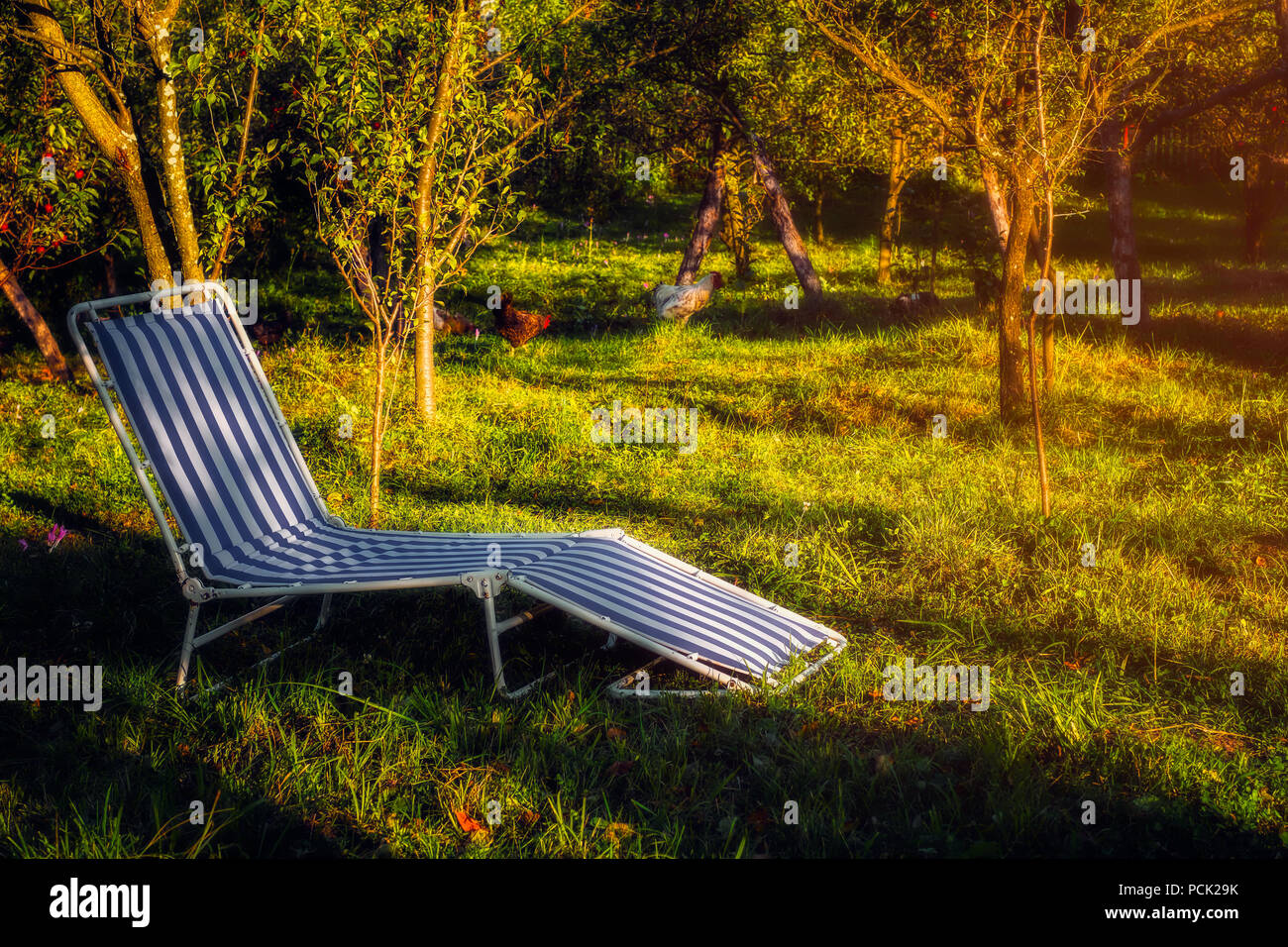 Lounge chair in garden Stock Photo Alamy