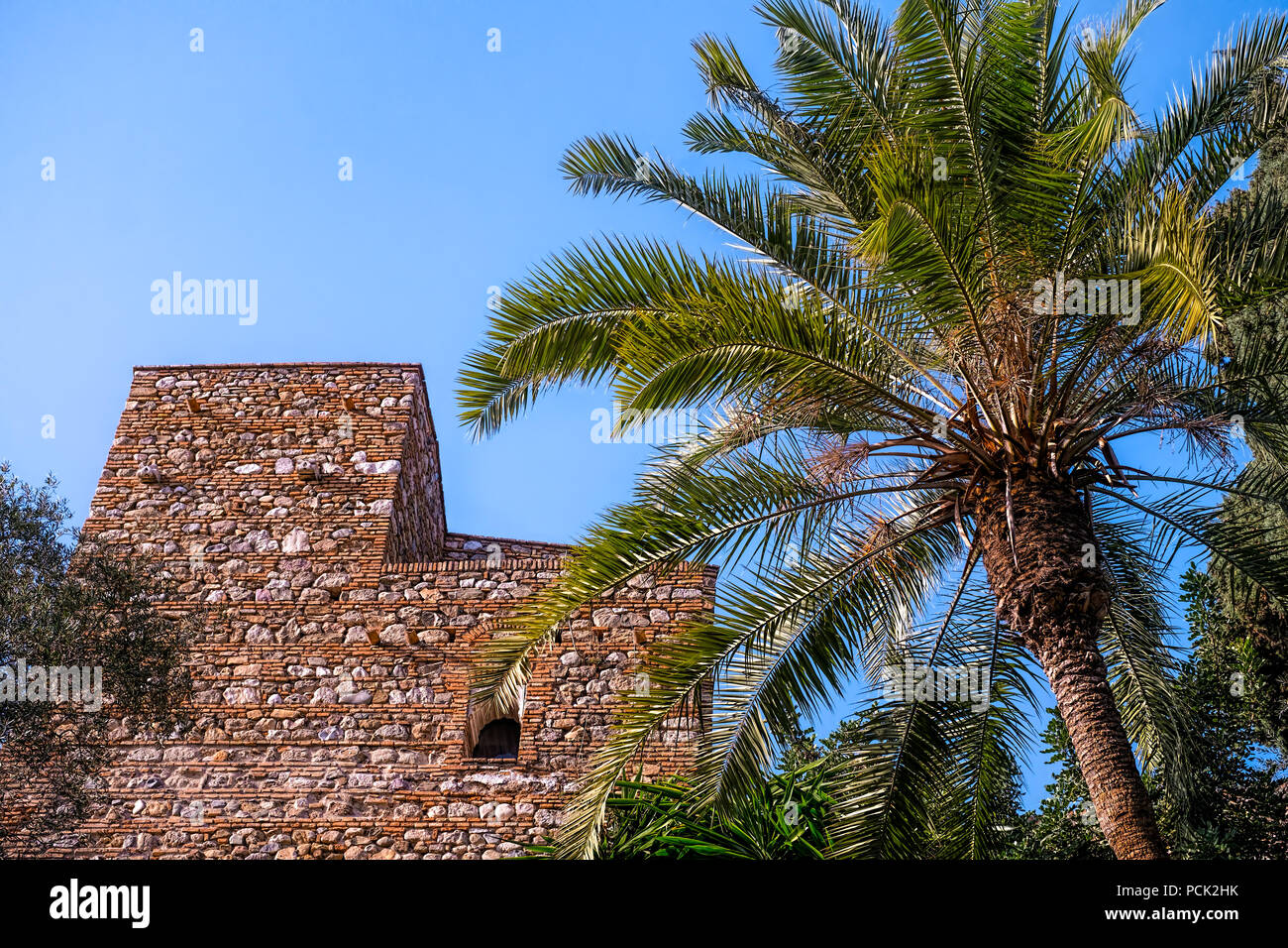 Palm Tree Renaissance Palm trees greek ruins temple hi-res stock photography and images - Alamy
