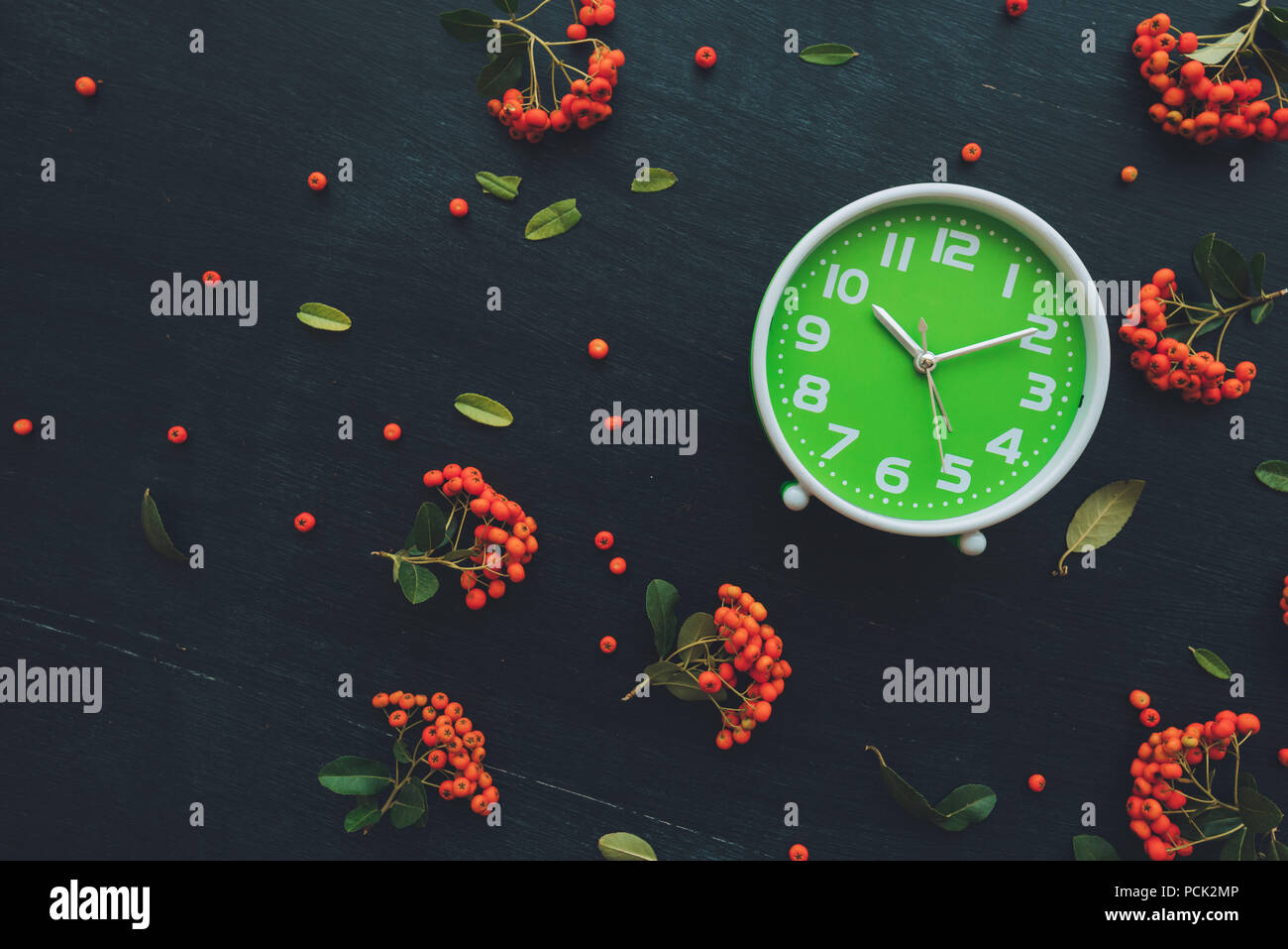 Plastic green alarm clock on dark wooden background, flat lay top view minimal composition with retro wild berry fruit arrangement Stock Photo