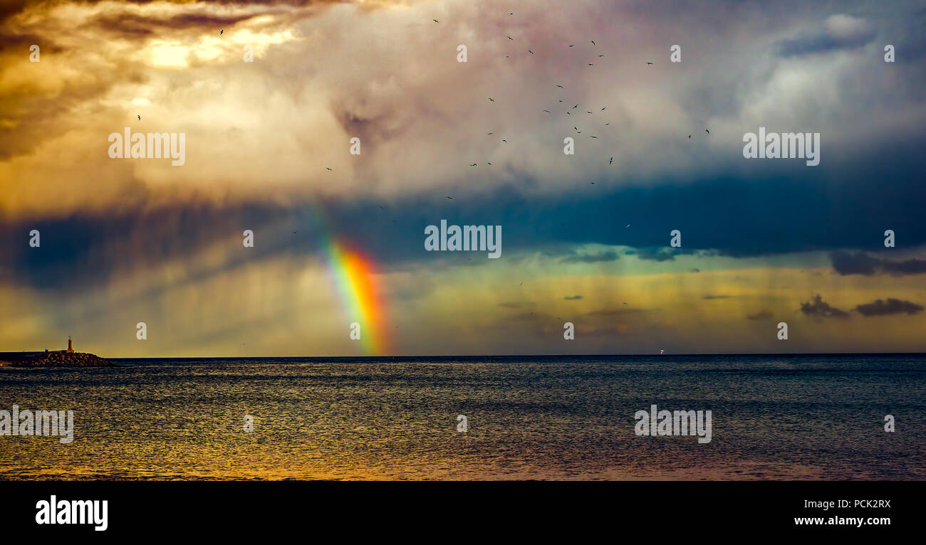 rain with rainbow and seaguls Stock Photo - Alamy