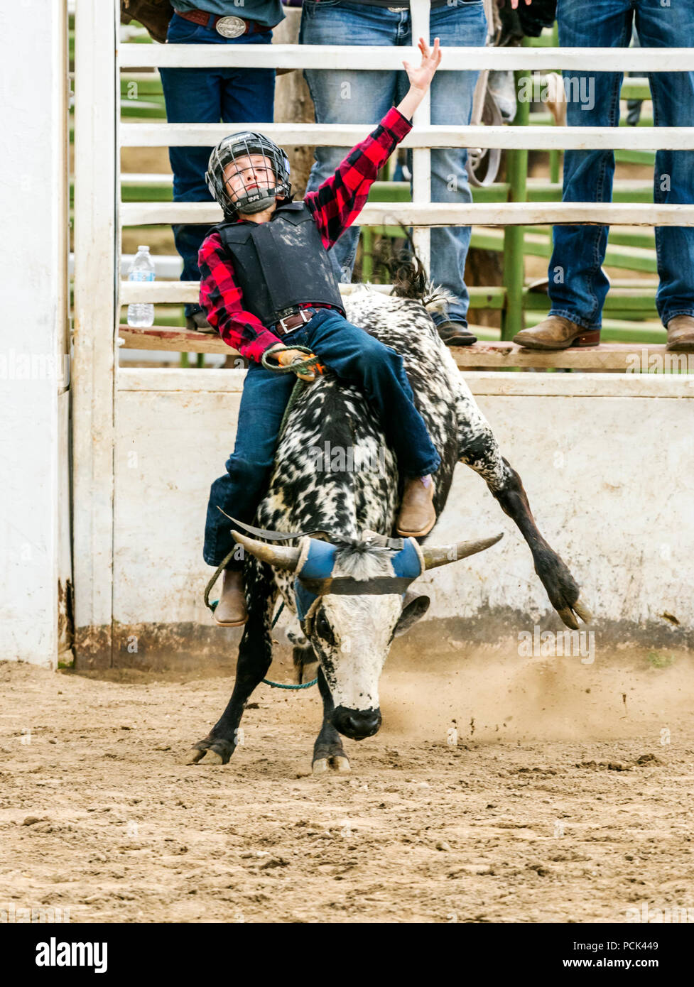 Extreme animal hi-res stock photography and images - Alamy