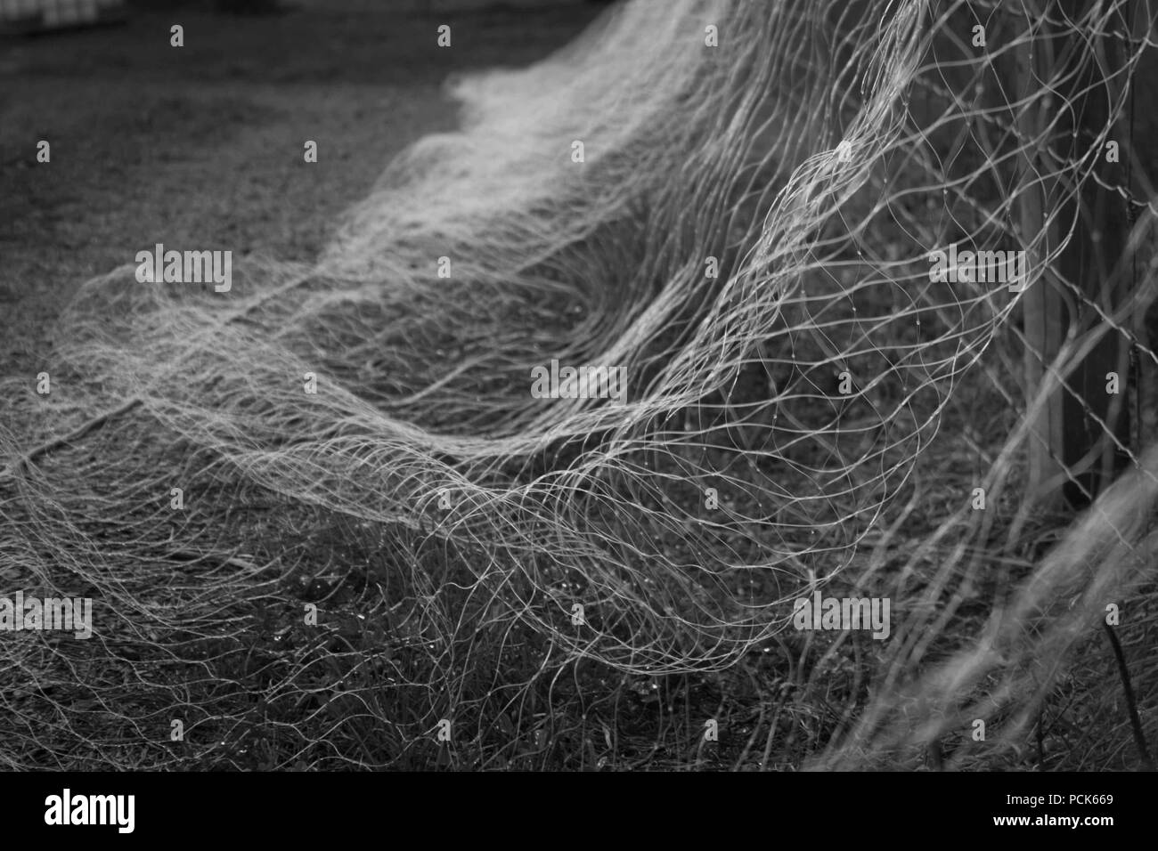 Herring fishing net hires stock photography and images Alamy