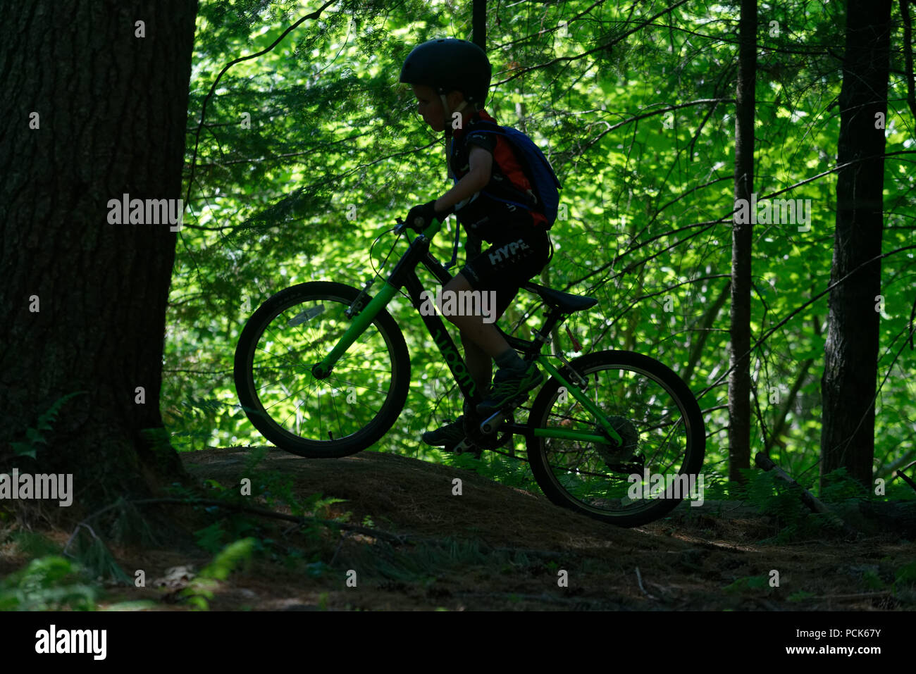 A young boy (6 yrs old) on a mountain bike silhouetted against bright sunlit foliage in East Burke's Kingdom Trails, Vermont, USA Stock Photo