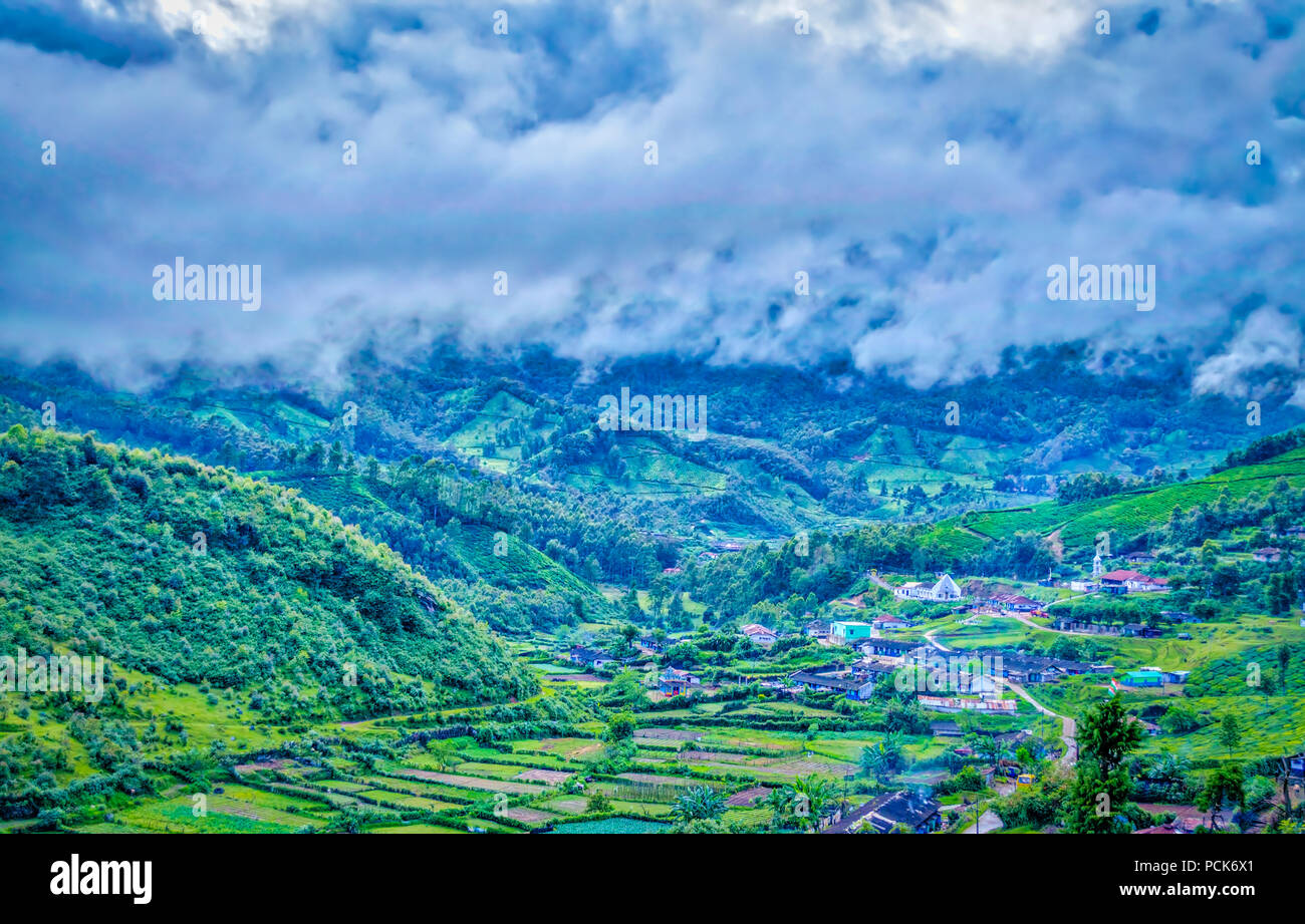 Beautiful green valley with fog covering part of it. From Munnar, Kerala, India. Stock Photo