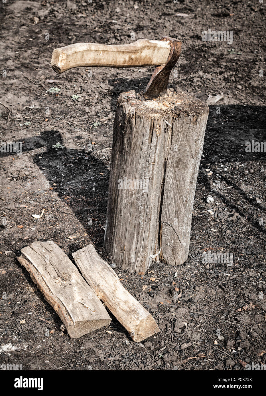 The old rusty ax sticks out in the log during the firewood splitting ...