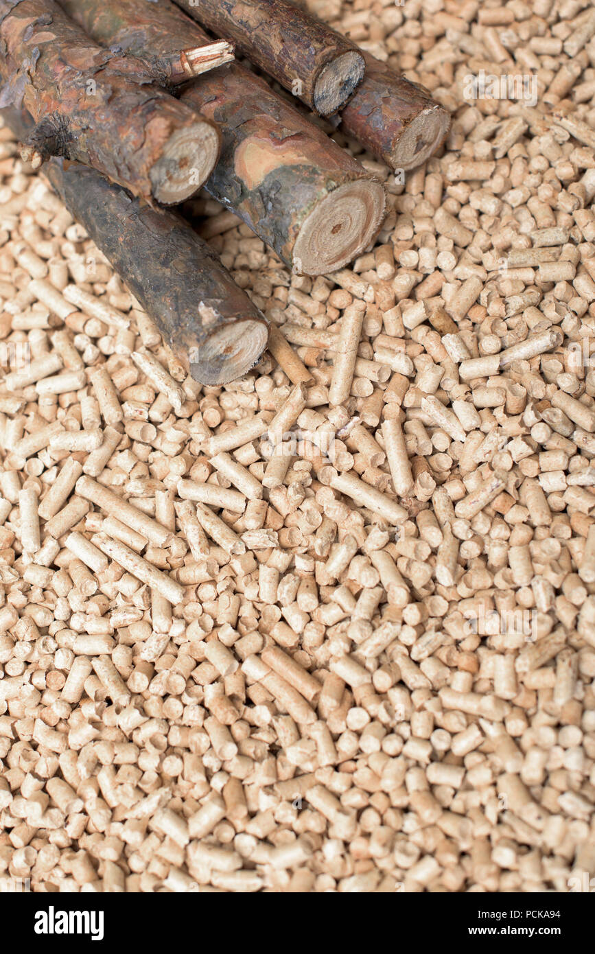 Coniferous biomass - pellets and wood, renewable energy Stock Photo