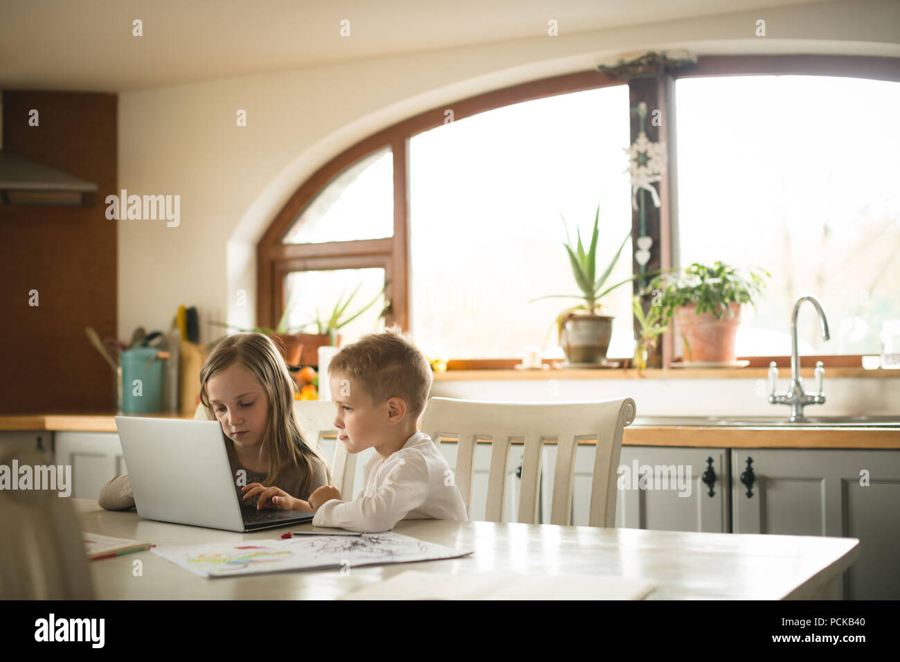Children using laptop together in kitchen Stock Photo