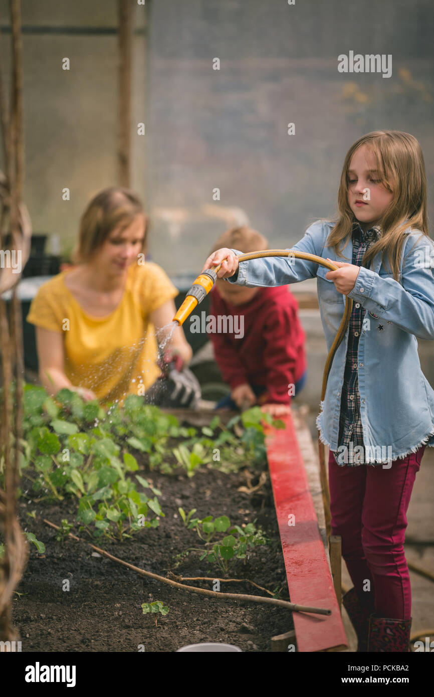 Girl and boy watering plants hi-res stock photography and images - Alamy