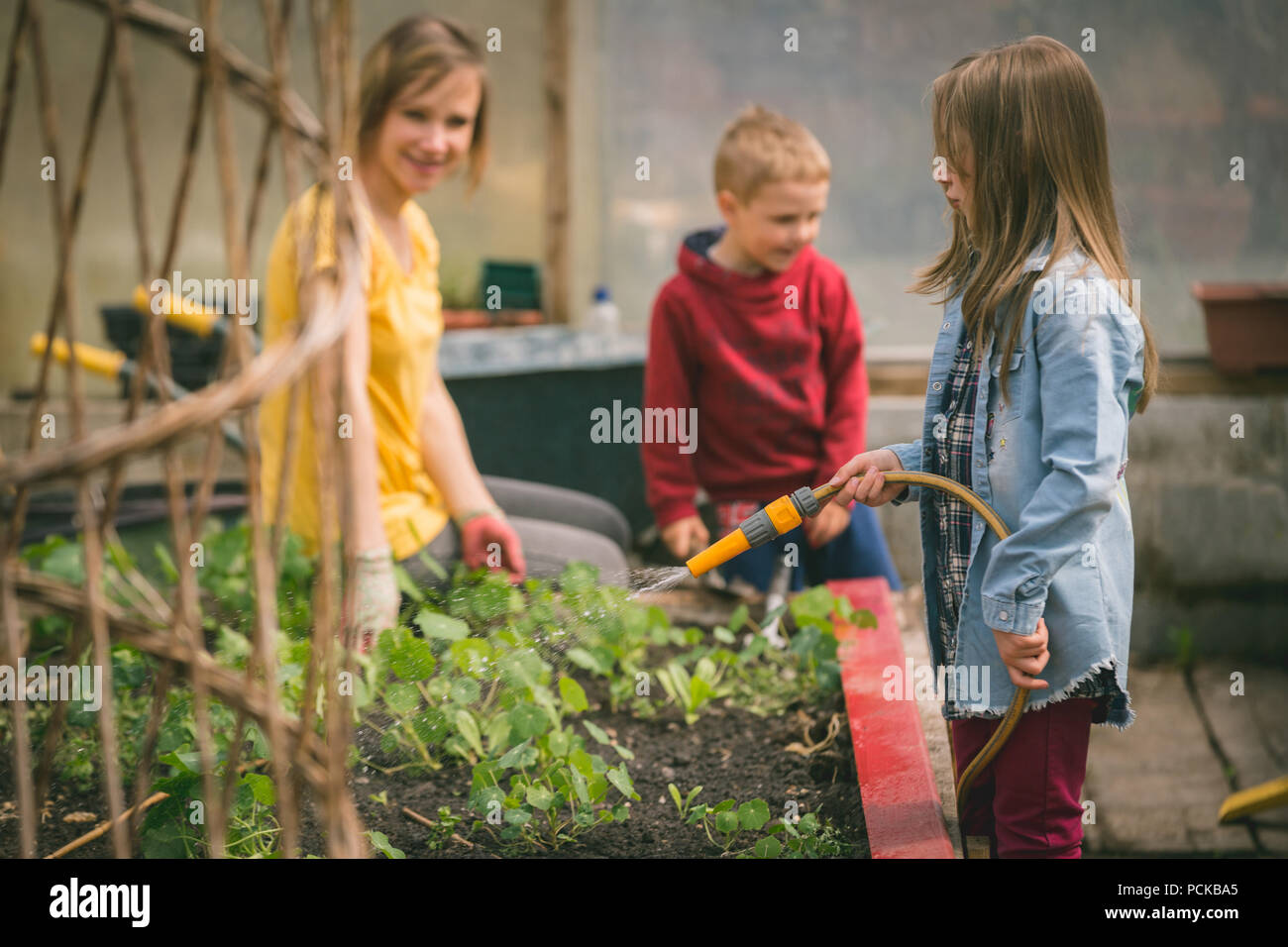 Girl and boy watering plants hi-res stock photography and images - Alamy