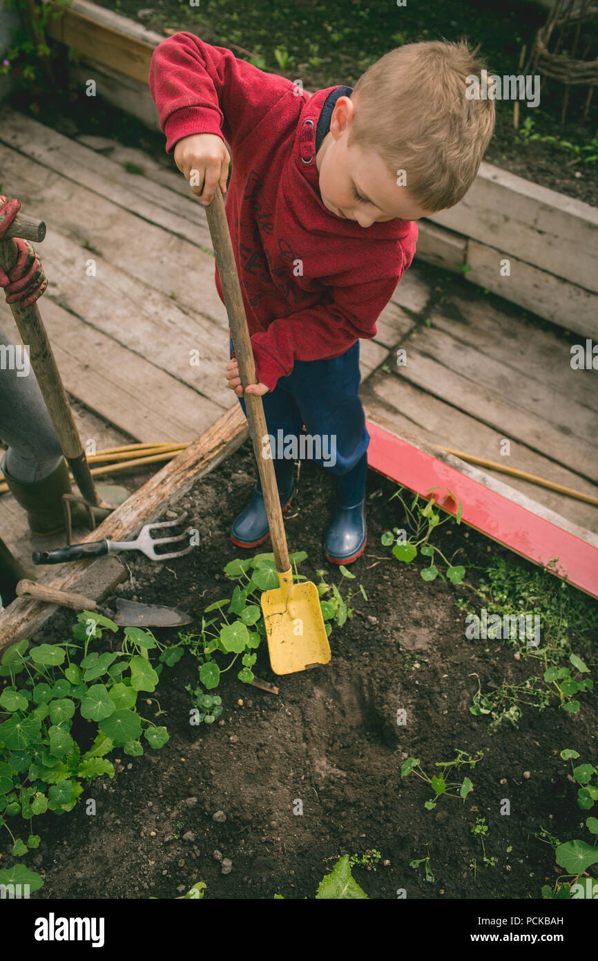 Kid digging spade in greenhouse Stock Photo Alamy