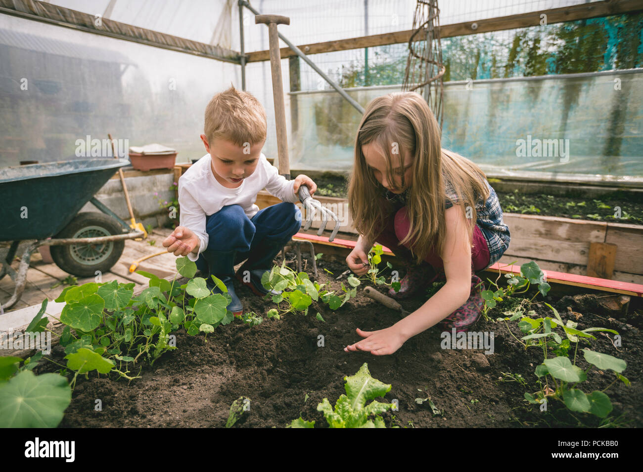 Kids gardening in greenhouse Stock Photo
