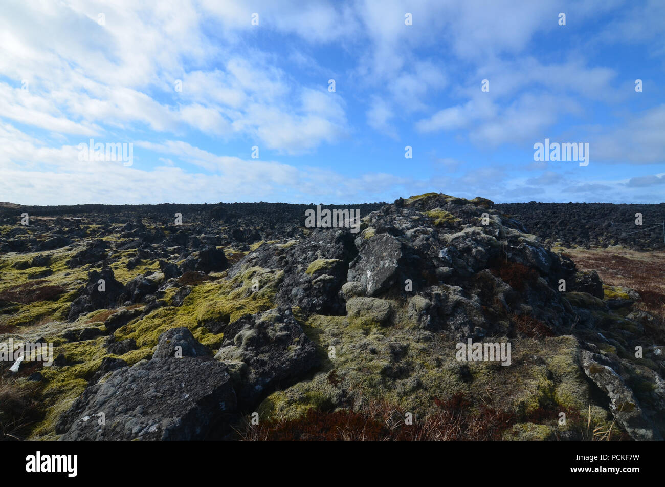 A lava field with volcanic black rock in Iceland Stock Photo - Alamy
