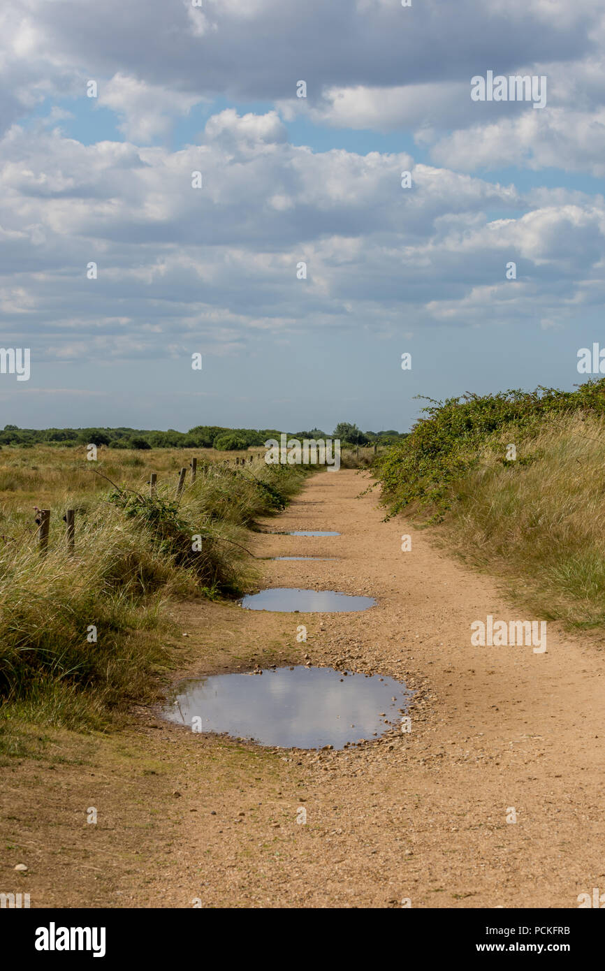 Norfolk landscape of heathland, big sky with fluffy clouds, and sandy footpath with puddles