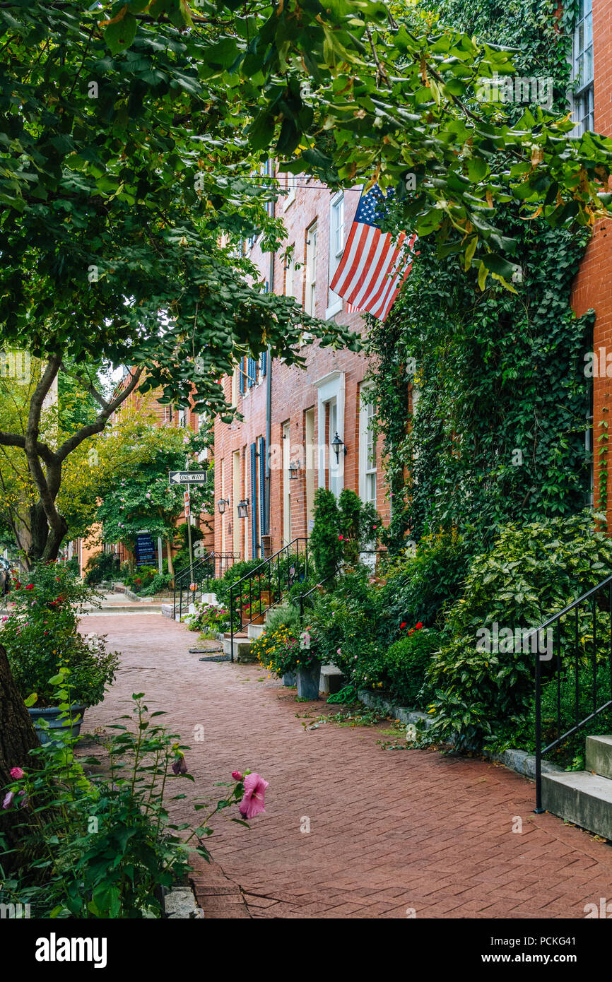 Row houses in Federal Hill, Baltimore, Maryland Stock Photo Alamy