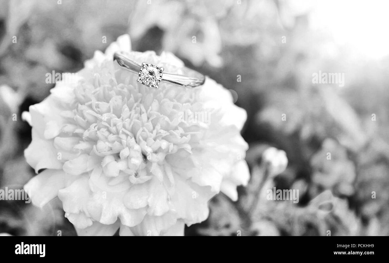 Black and white photo of diamond ring. Stock Photo