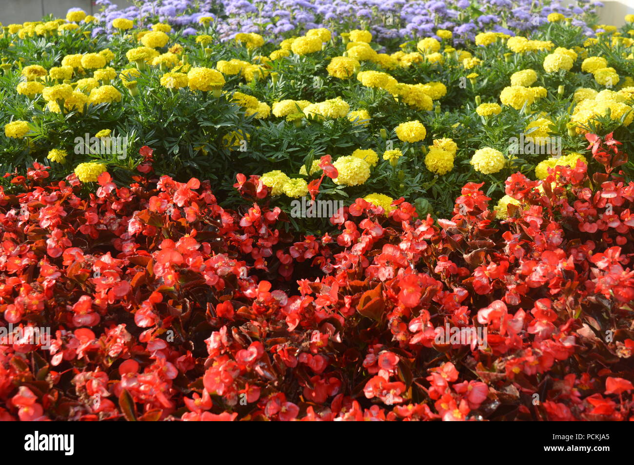flower arrangement in a garden Stock Photo