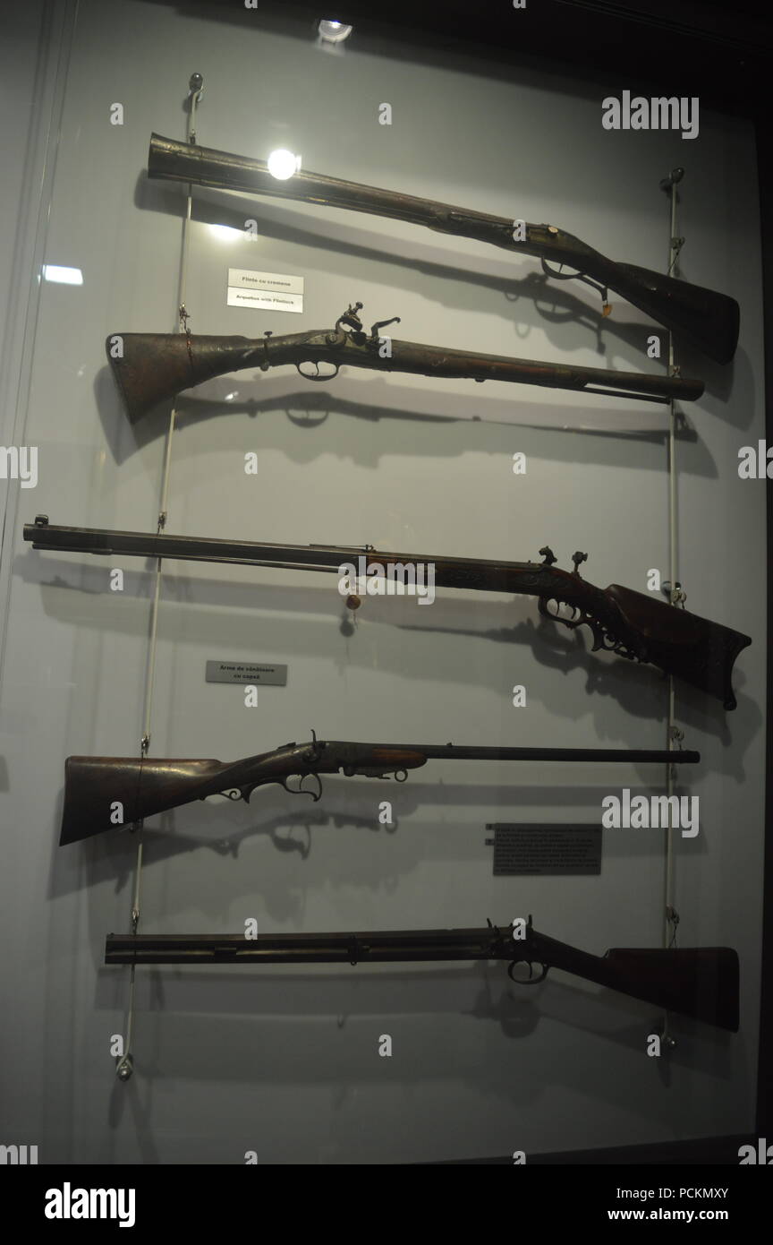 Hunting rifles on display at museum Stock Photo
