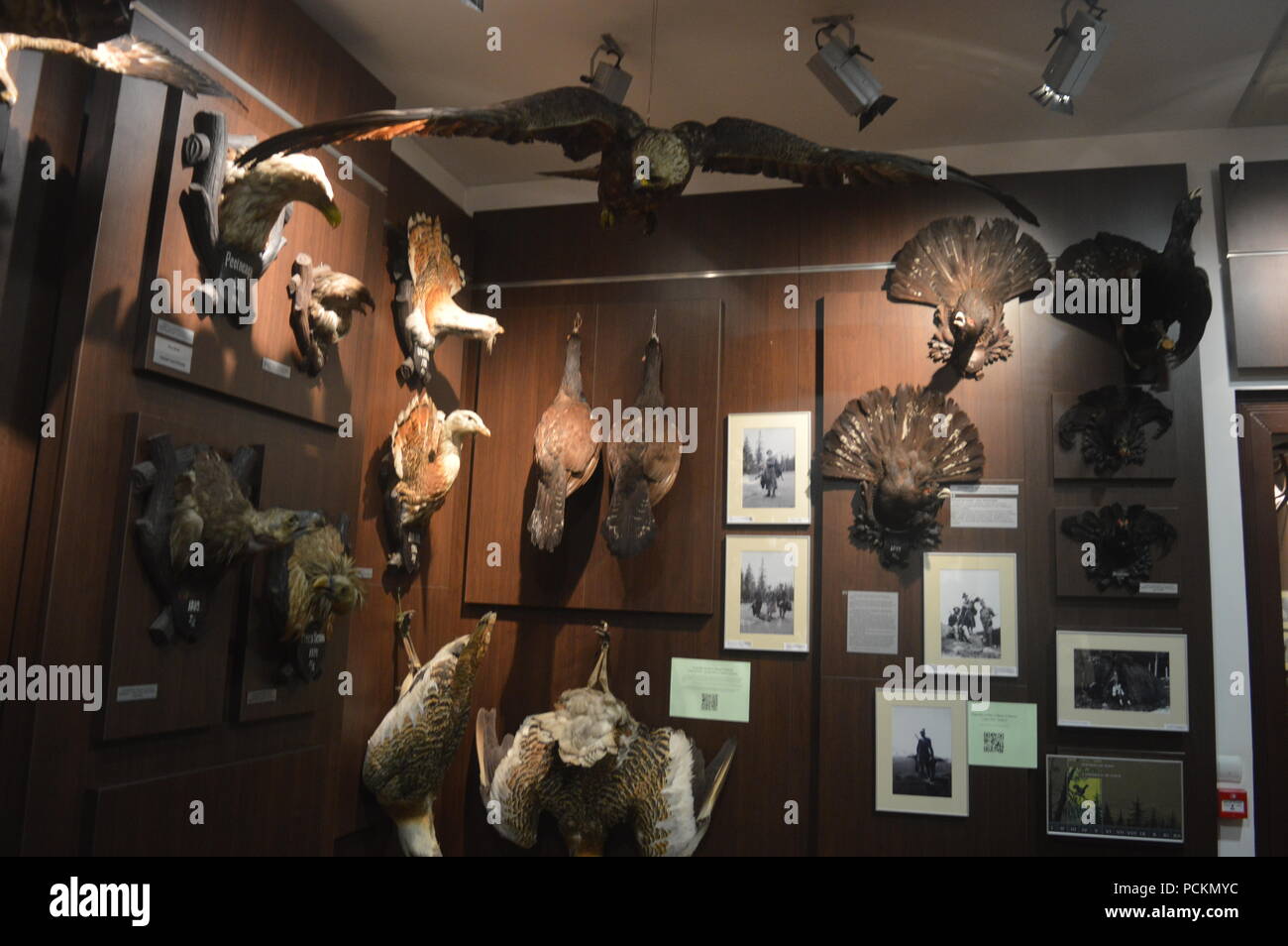 The 'august von spiess' museum of hunting Stock Photo