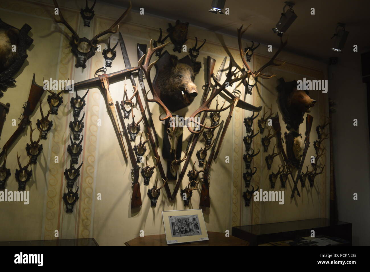 The 'august von spiess' museum of hunting Stock Photo