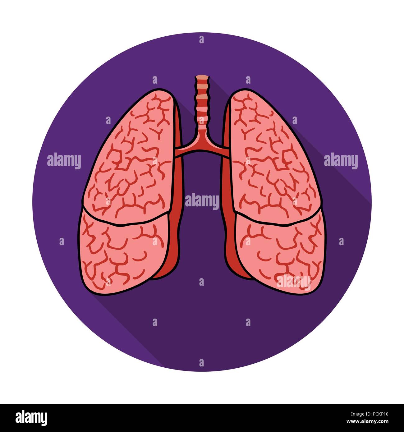 Human lungs icon in flat style isolated on white background. Human ...