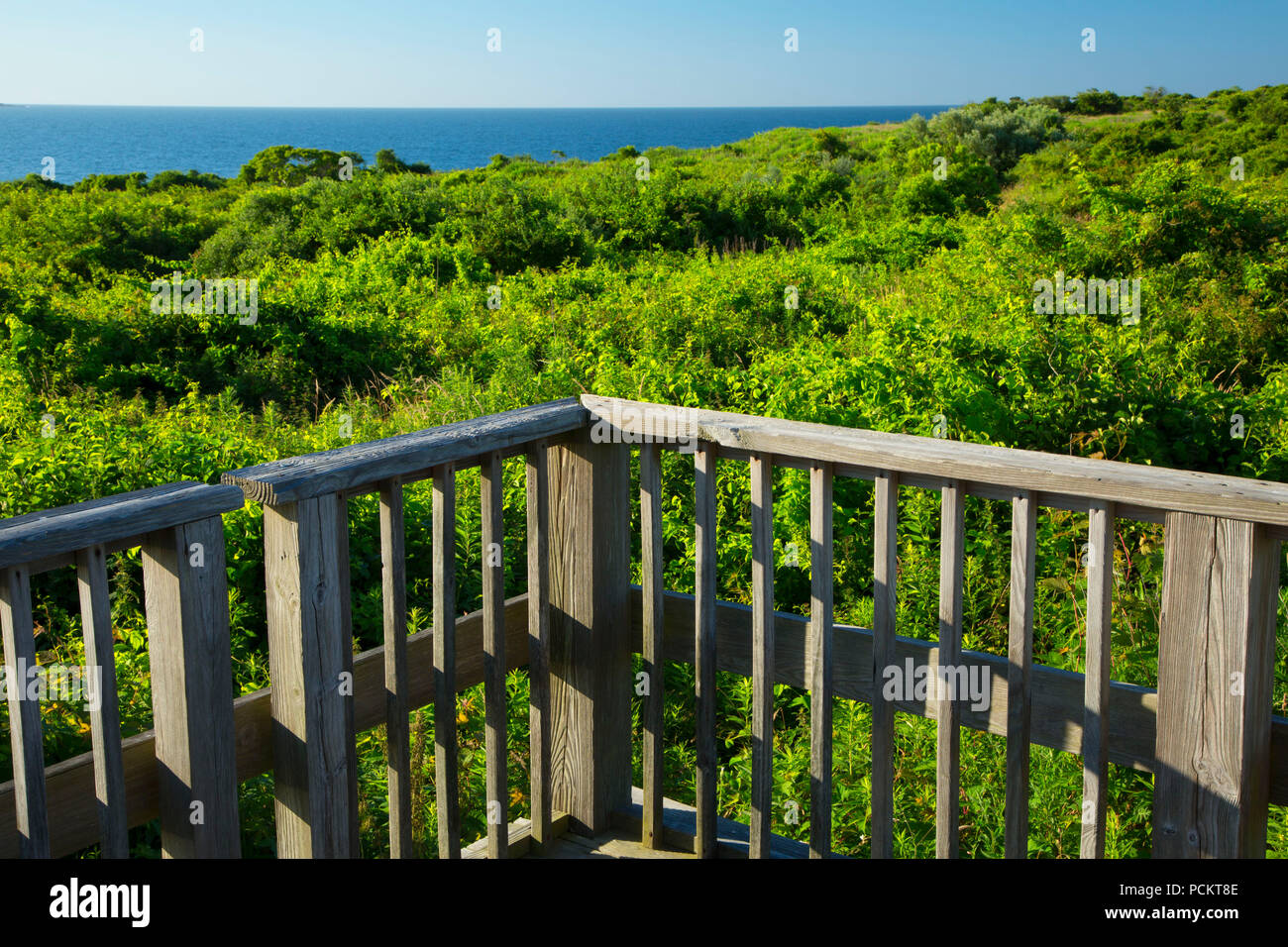 Observation platform view, Sachuest Point National Wildlife Refuge, Rhode Island Stock Photo