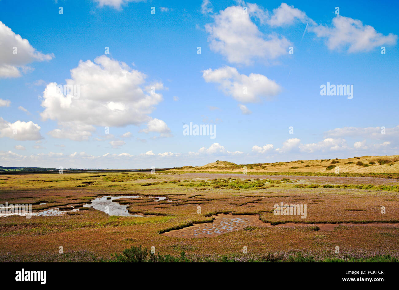 Gun hill norfolk dune hires stock photography and images Alamy
