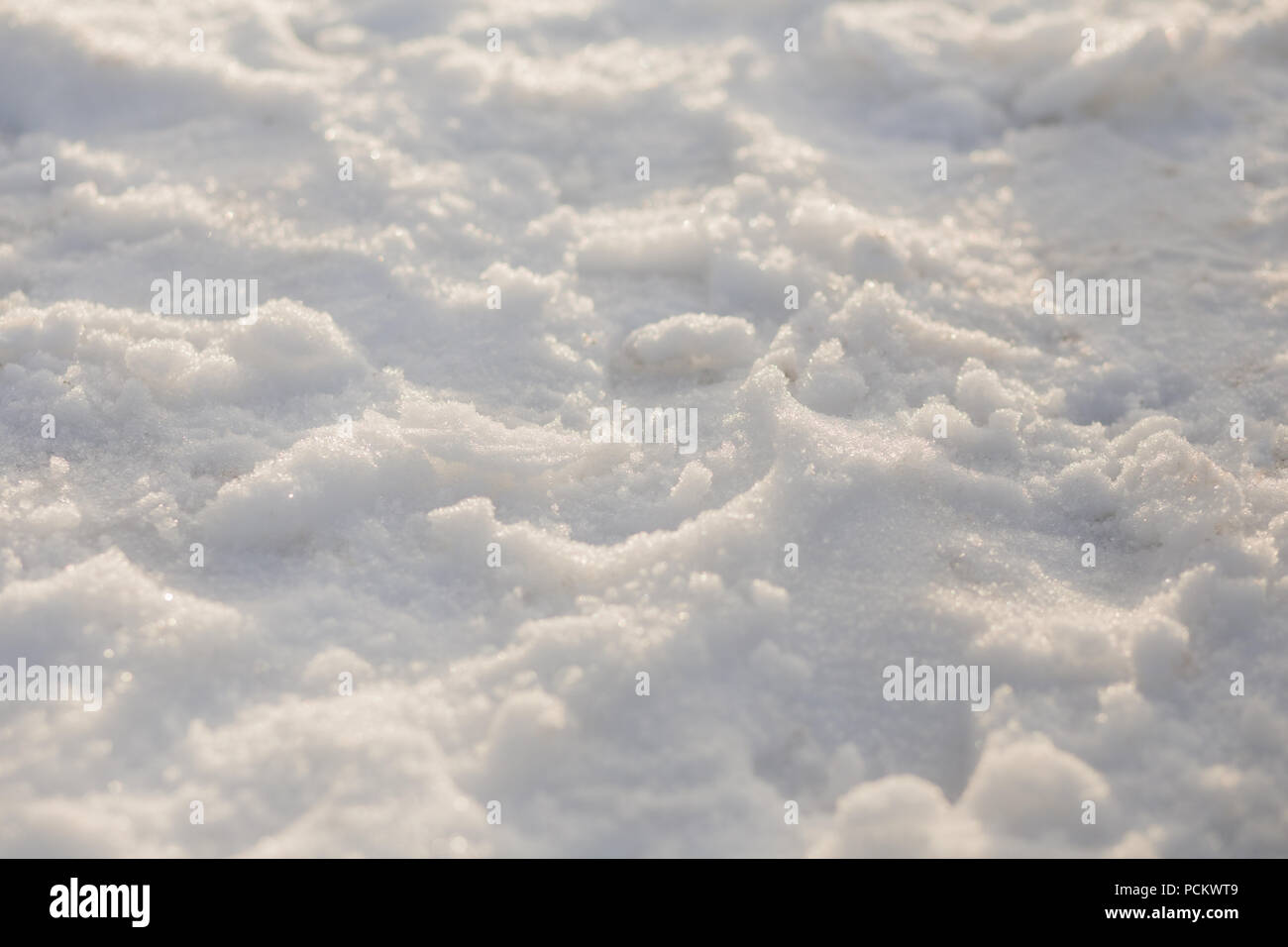Snow Covered Ground in South Lake Tahoe, California USA Stock Photo
