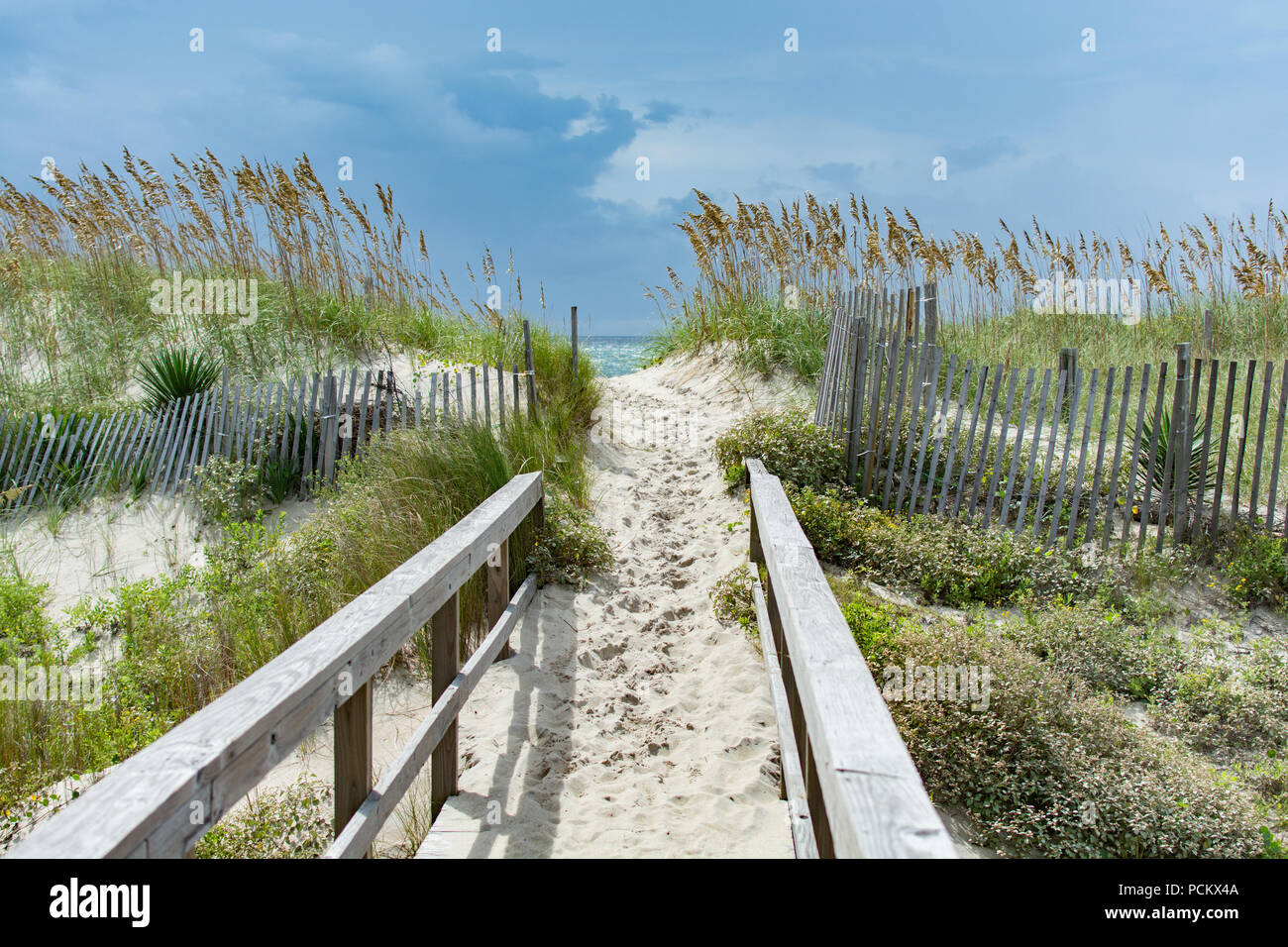 Outer banks nature boardwalk hires stock photography and images Alamy