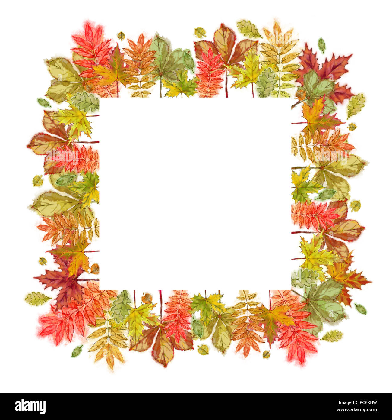 Autumnal Square Template Isolated on White. Autumn Leaves Border Decorated White Square Template for Print, Announcement, Advertising, and  Cards. Stock Photo