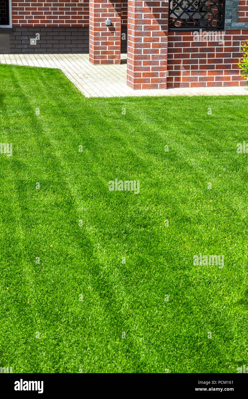 Beautiful evenly trimmed lawn hi-res stock photography and images - Alamy