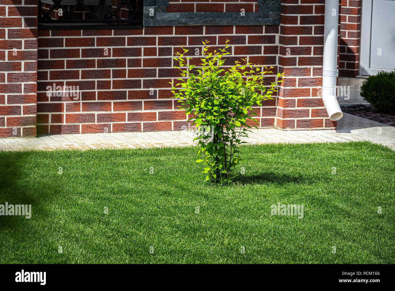 Trimmed grass border hi-res stock photography and images - Alamy