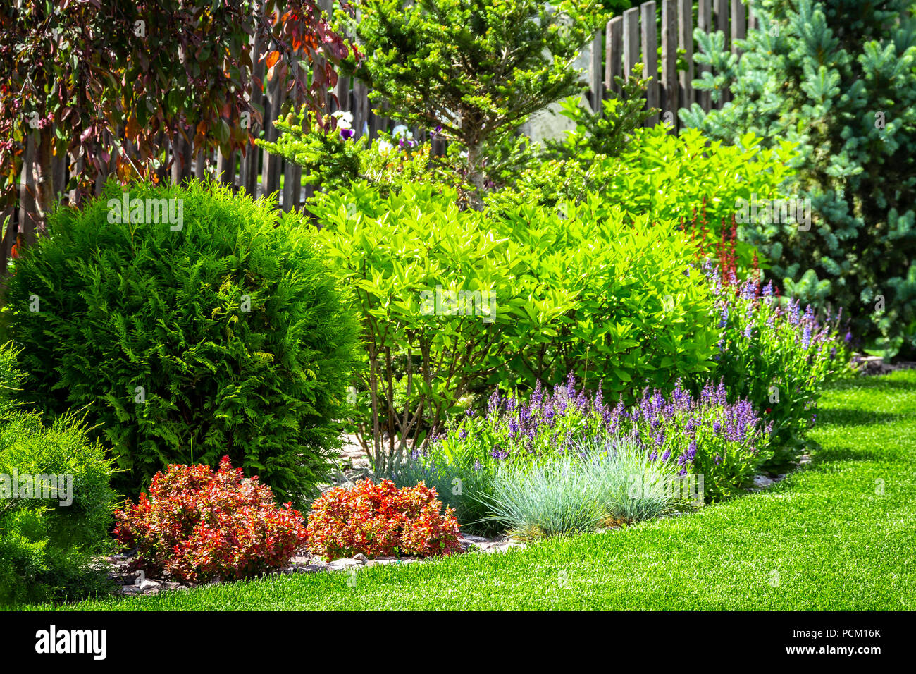 How to design a backyard landscape hi-res stock photography and images ...