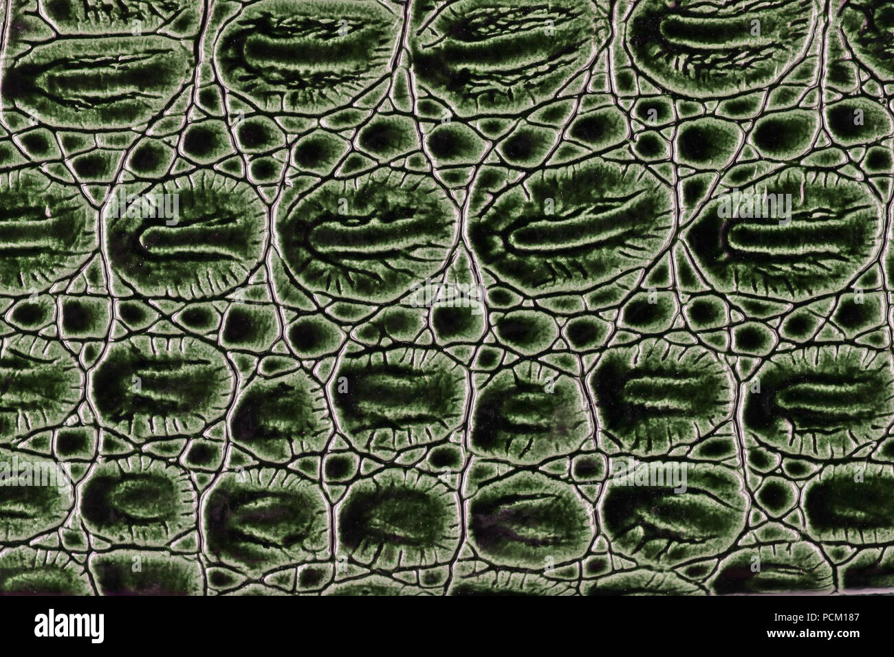 Green Crocodile Skin Pattern Texture Background Stock Photo 1481763647
