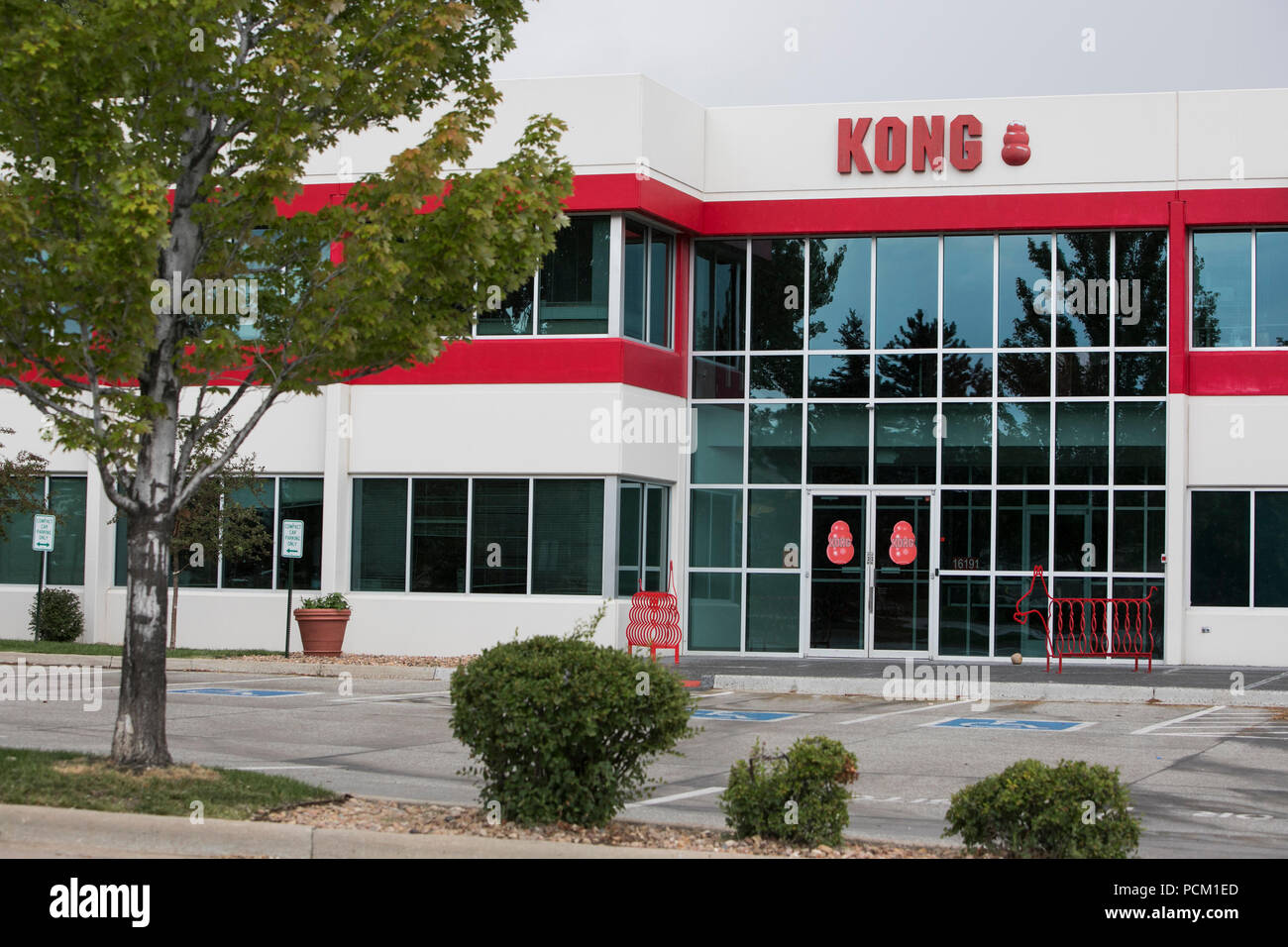 KONG Company office