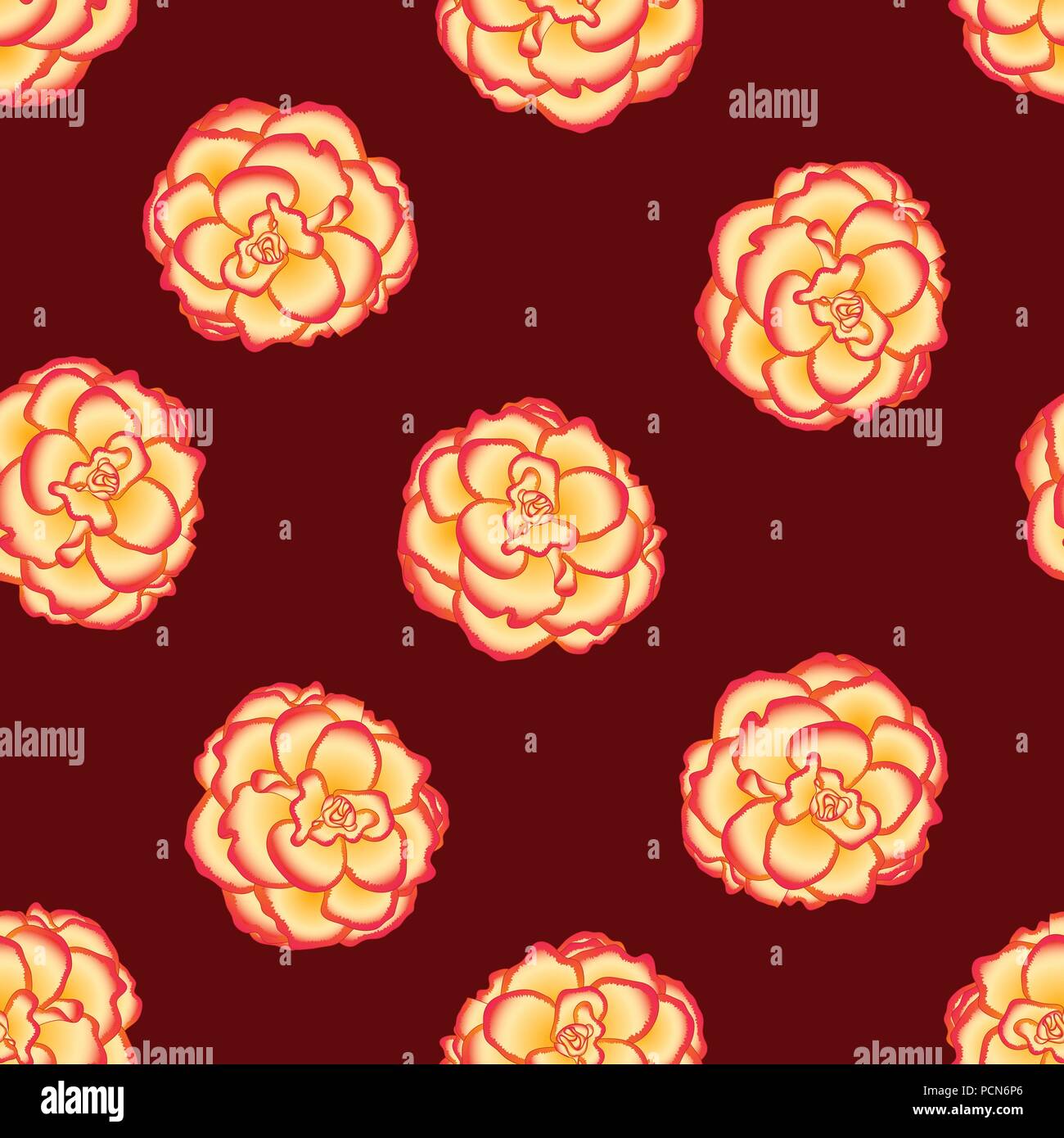 Begonia Flower, Picotee Sunburst on Red Background. Vector Illustration. Stock Vector