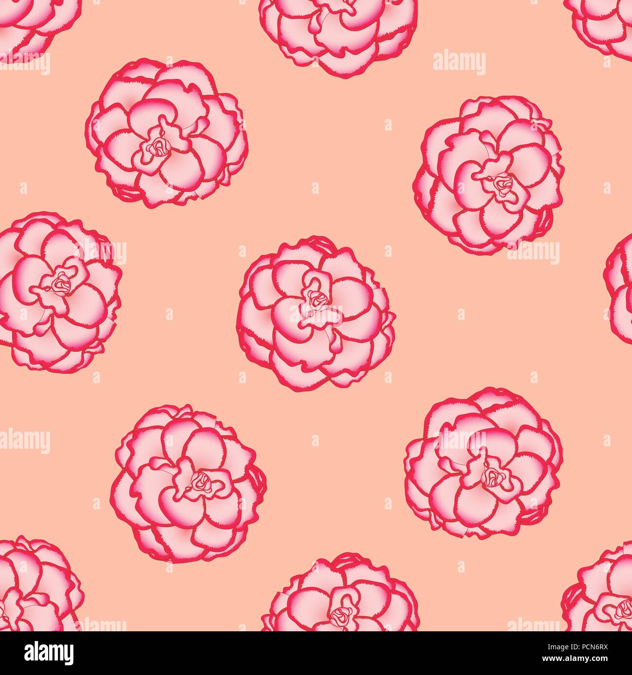 Pink Begonia Flower, Picotee First Love on Light Orange Background. Vector Illustration. Stock Vector