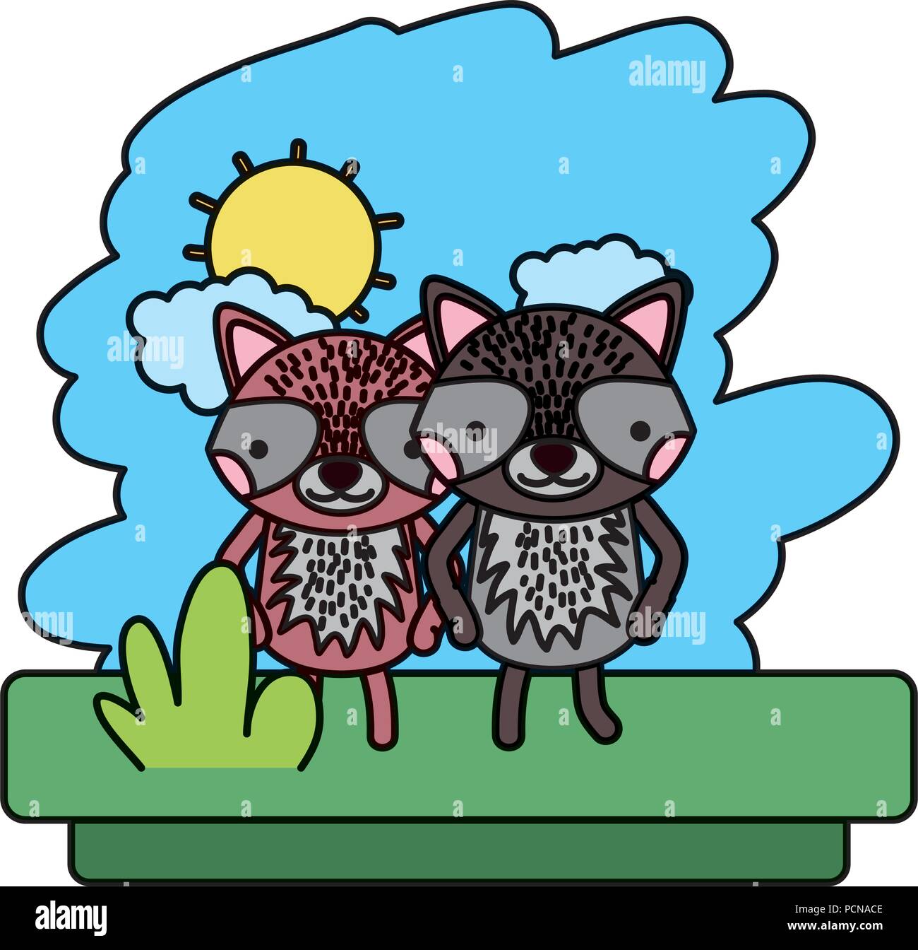 color couple raccoon cute wild animal Stock Vector Image & Art - Alamy