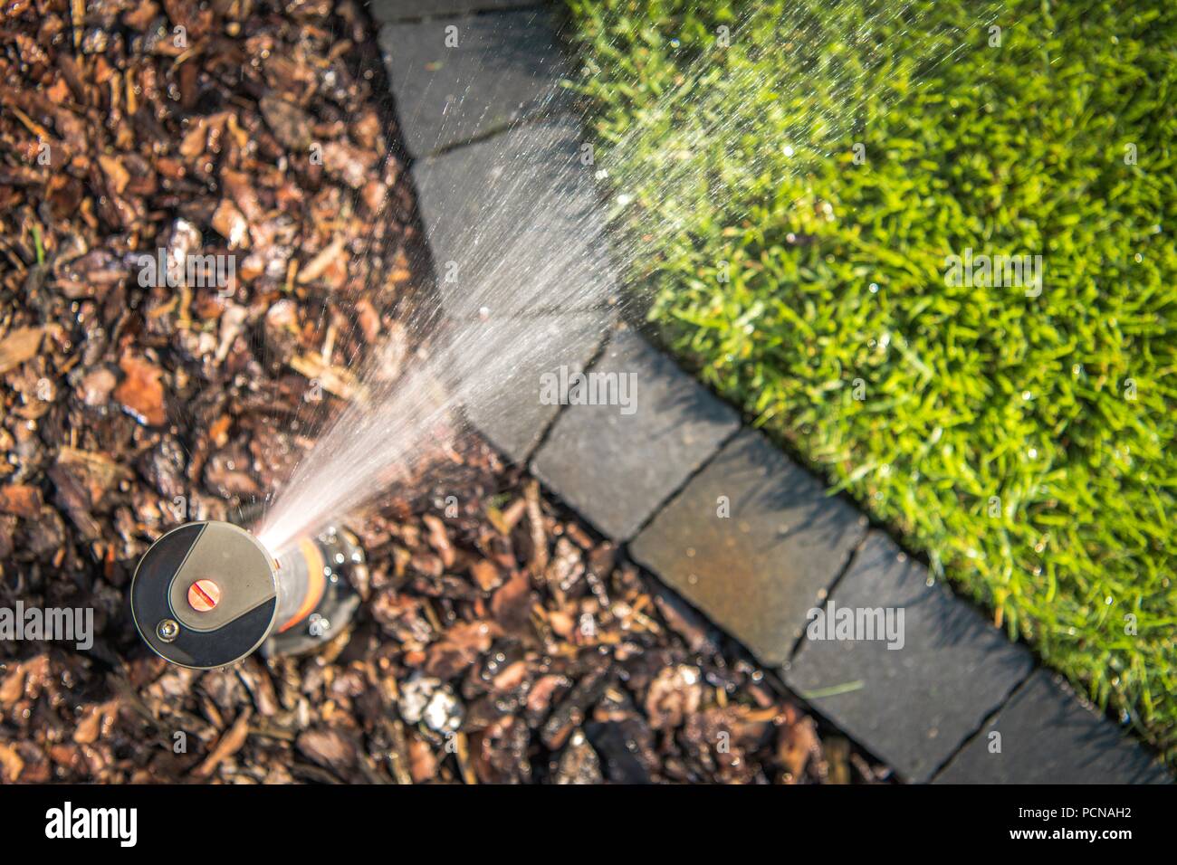 Garden Underground Sprinklers System at Work. Top View Photo Stock