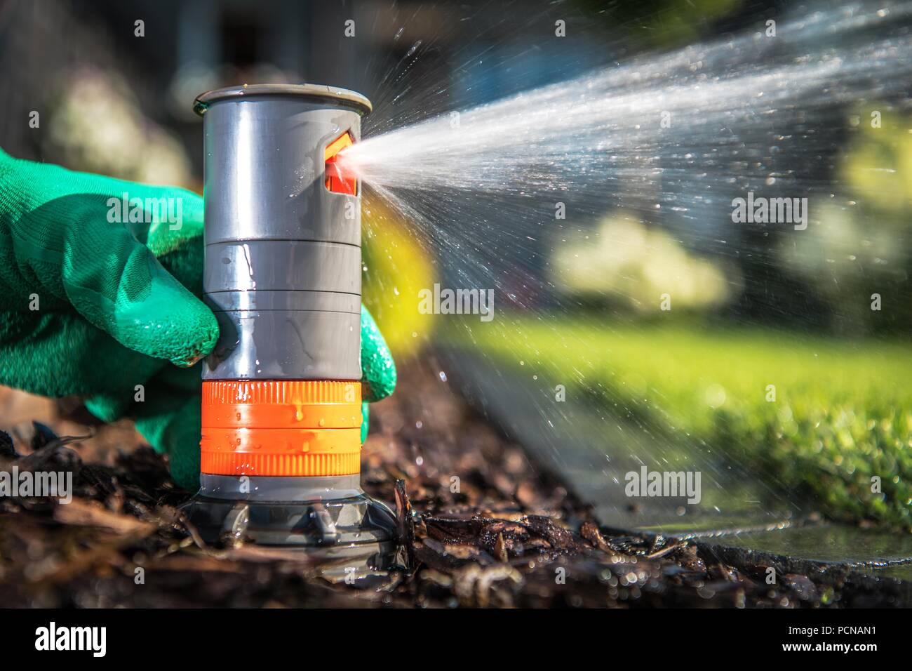 Building and Adjusting Underground Sprinkler System. Closeup Photo