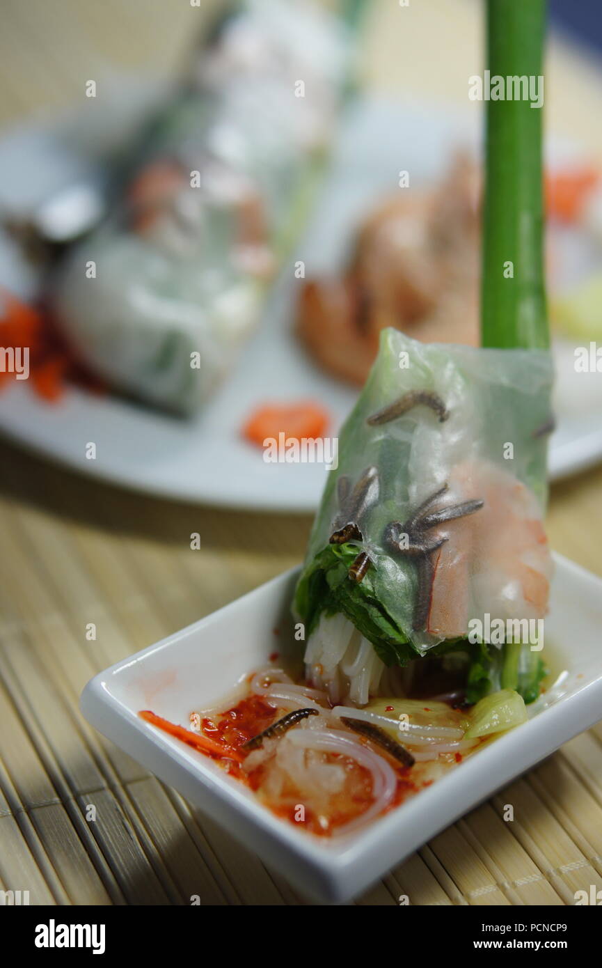 Vietnamese Spring Rolls with mealworms, shrimp, rice paper, vermicelli noodles, pork, carrots, and cucumber. Stock Photo