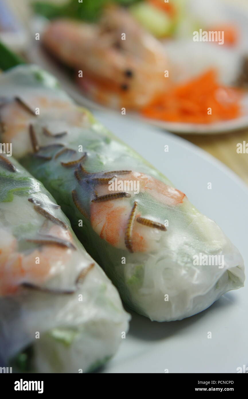 Vietnamese Spring Rolls with mealworms, shrimp, rice paper, vermicelli noodles, pork, carrots, and cucumber. Stock Photo