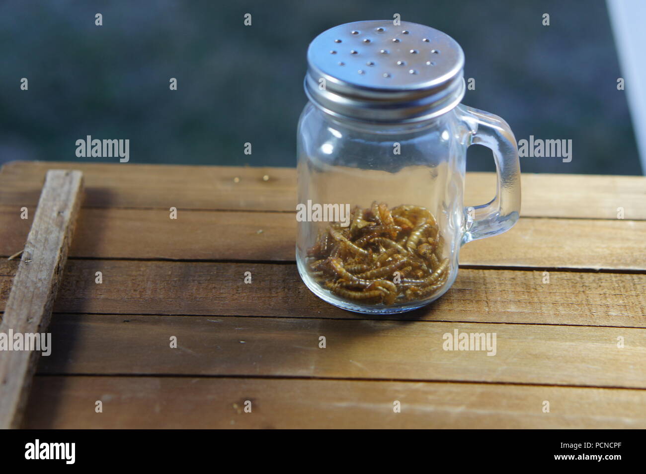 Roasted beetle larvae in a jar at sunset Stock Photo
