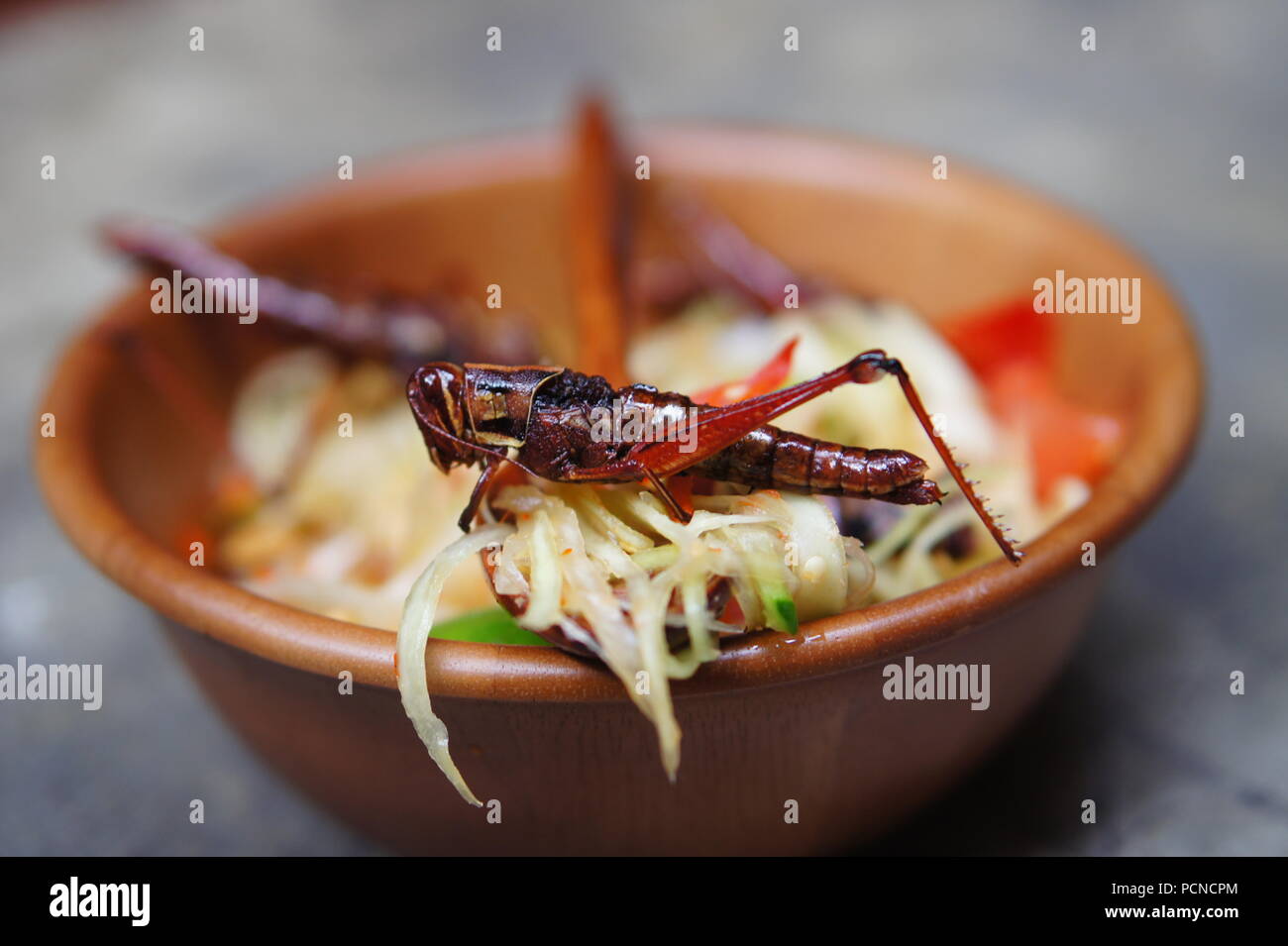 Grasshoppers, also known as chapulines, are an important part of traditional Thai food Stock Photo