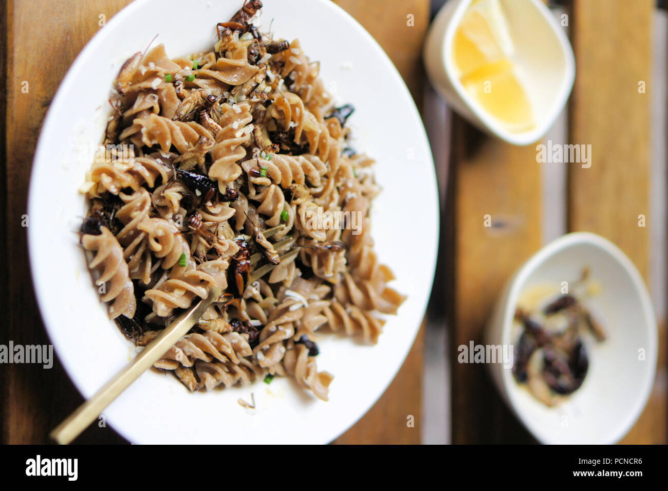 Crickets, Onions, Garlic, Lemon, and Cricket Pasta in a Picatta Sauce Stock Photo