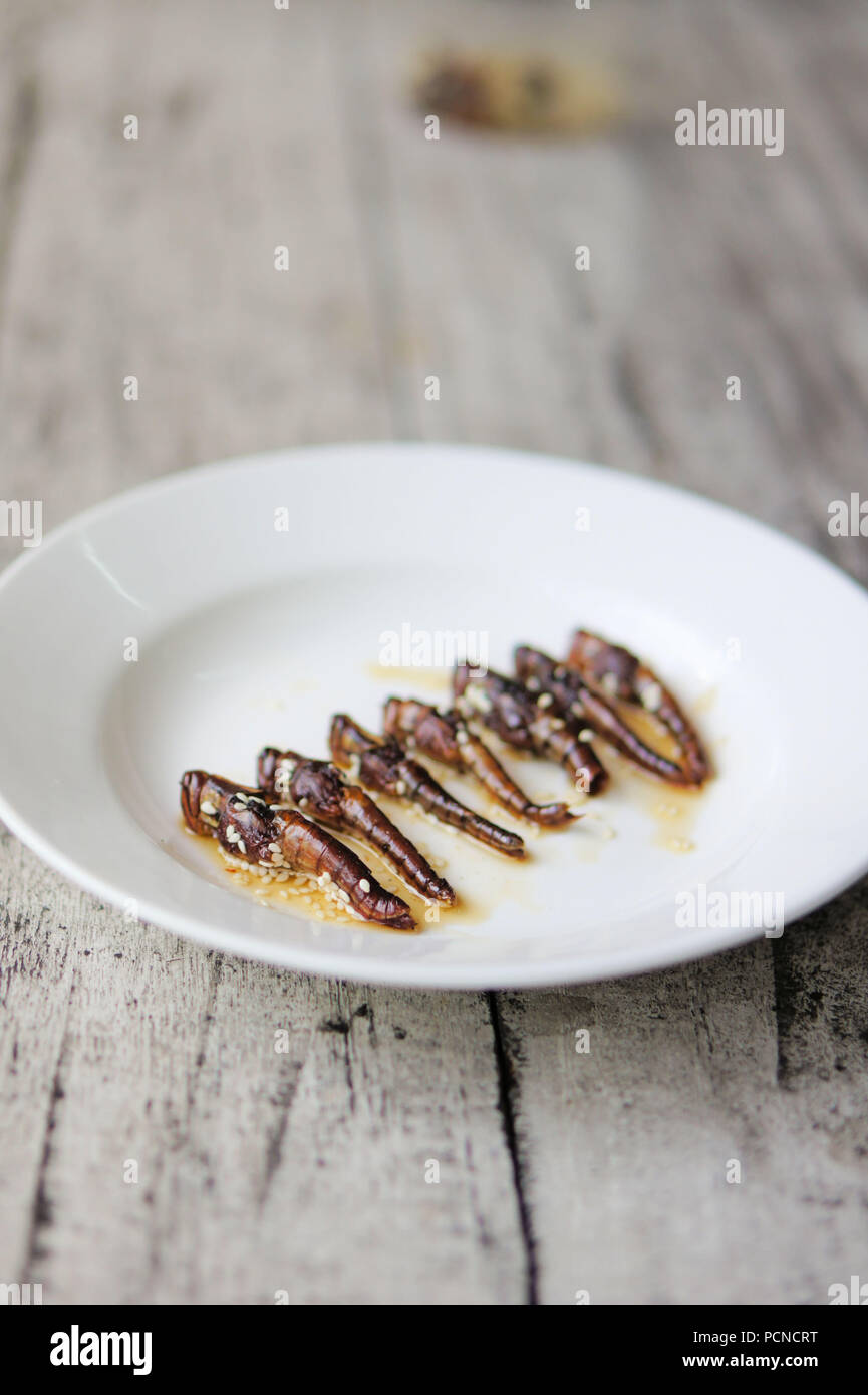 Roasted grasshoppers coated with honey and sesame seeds Stock Photo