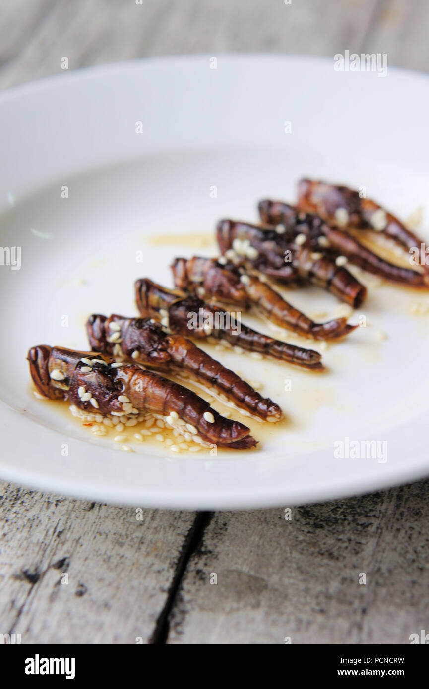 Roasted grasshoppers coated with honey and sesame seeds Stock Photo