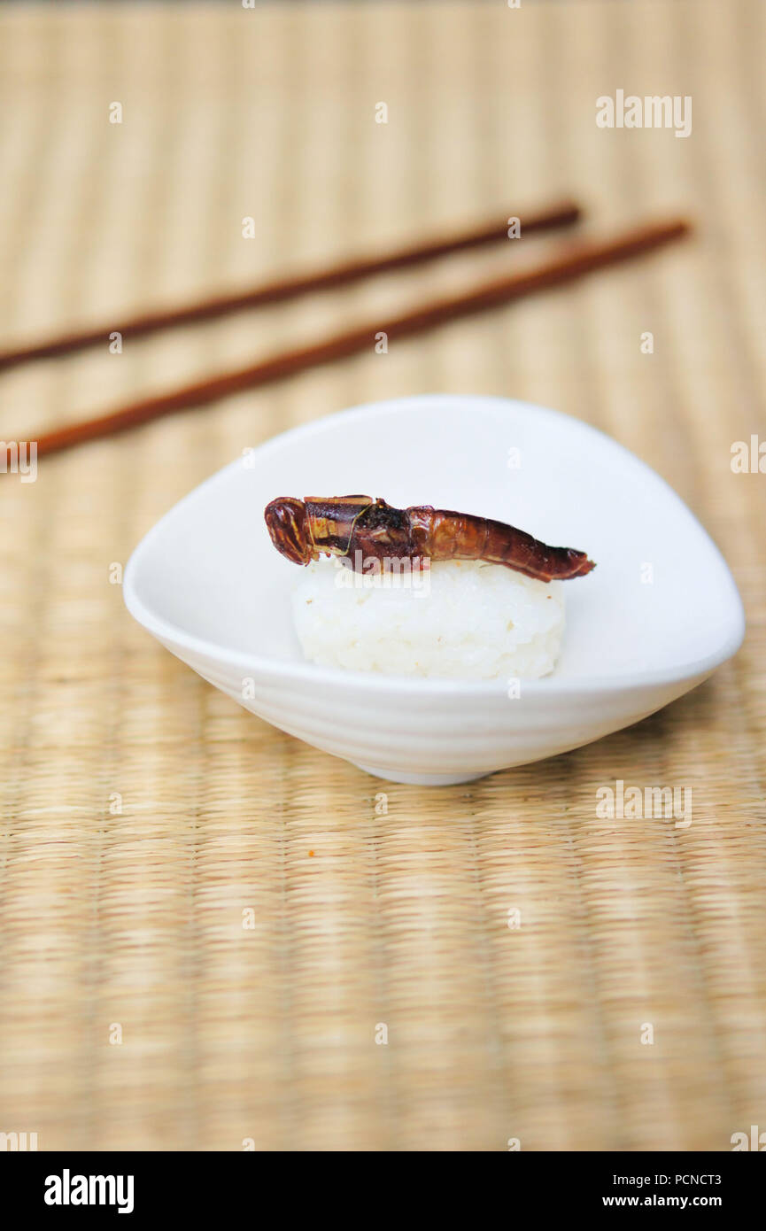 Grasshoppers, also known as chapulines, are often compared to sushi as the next extreme food trend Stock Photo