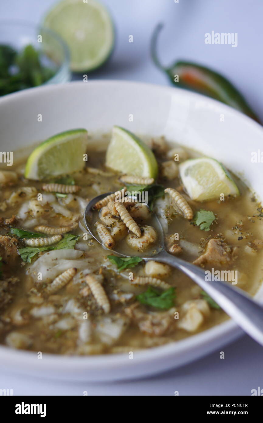 Pozole (Hominy), cilantro (coriander), jalapeno peppers, onions, tomatillo, lime, and pork with wax moth larvae Stock Photo