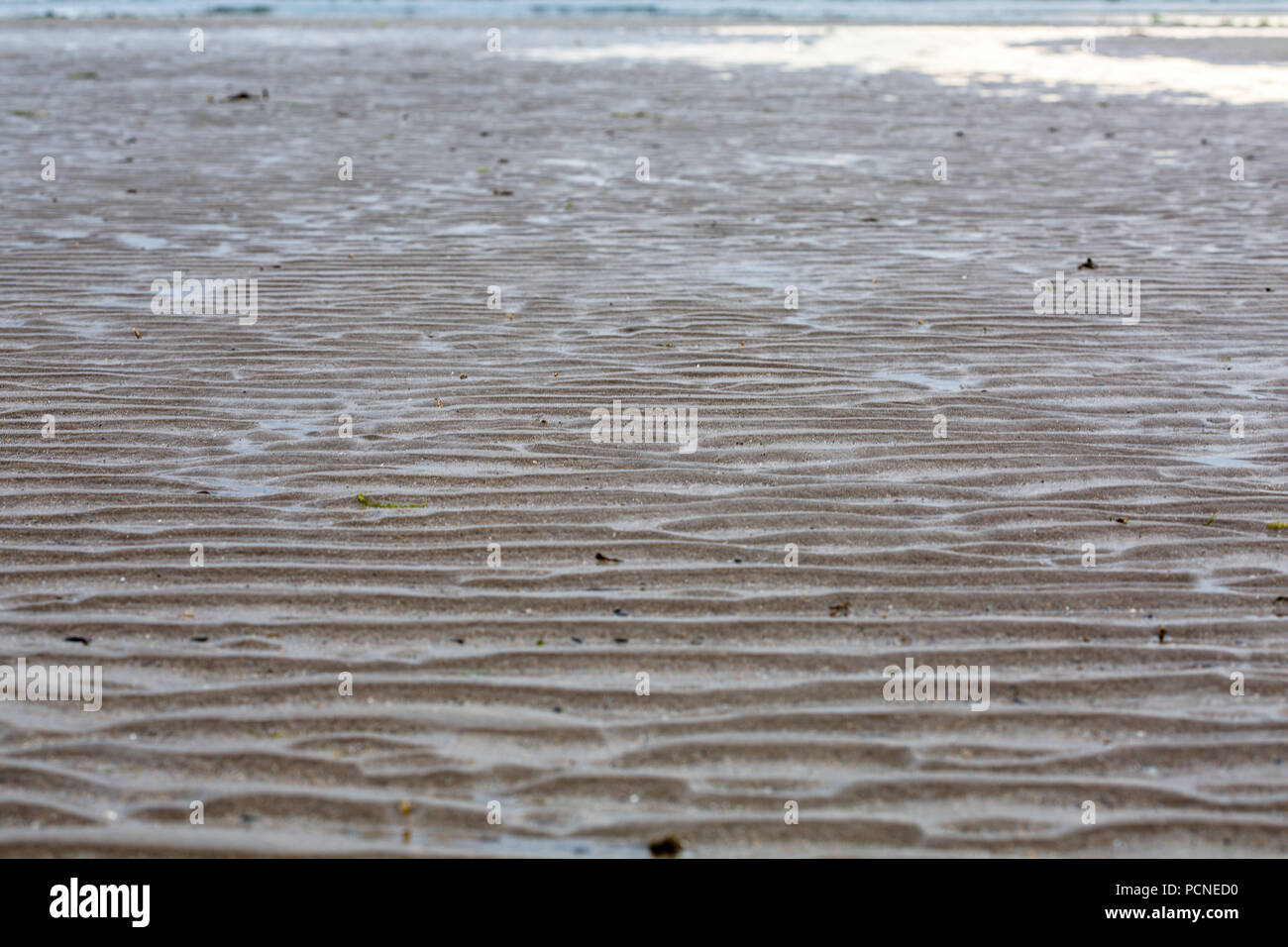 lugworm casts in sand on beach, Traeth Crydall in Rhosneigr, Anglesey, North Wales, UK Stock Photo